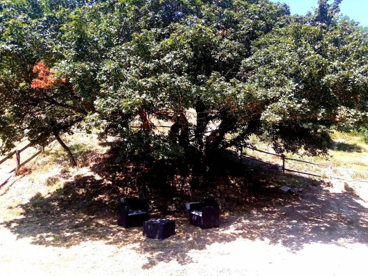Locanda Di Alberi Borgo San Lorenzo Ngoại thất bức ảnh