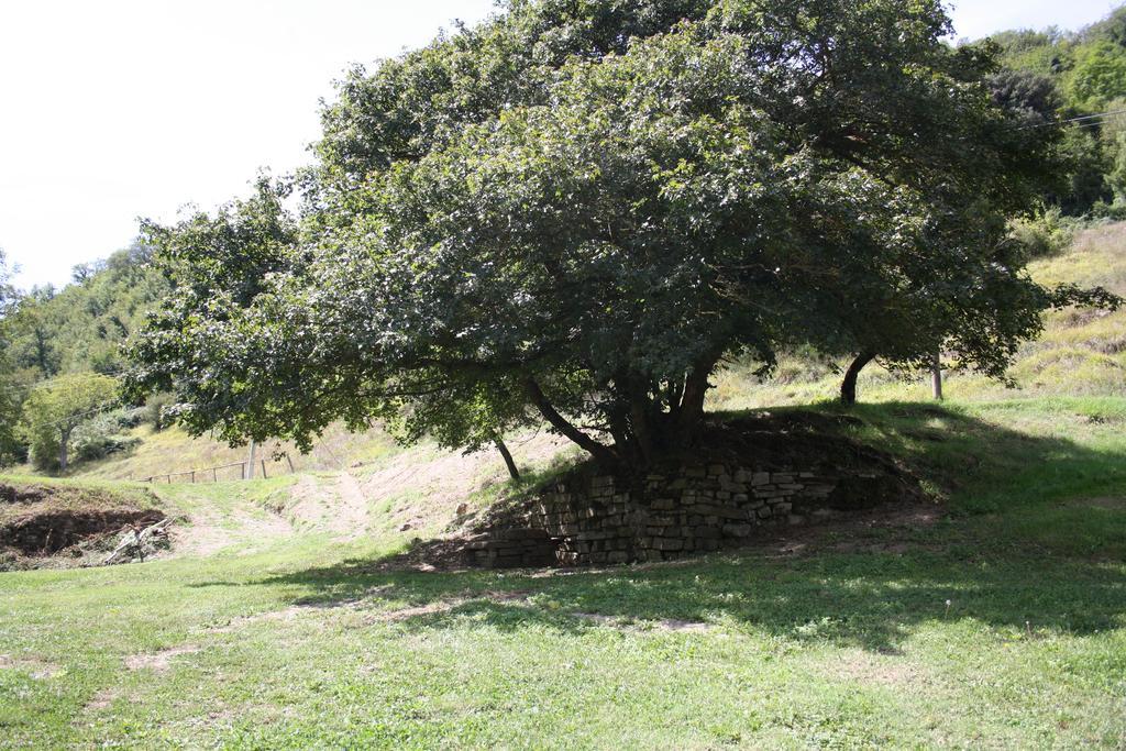 Locanda Di Alberi Borgo San Lorenzo Ngoại thất bức ảnh